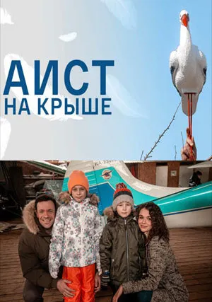 Аист на крыше (сериал 2021)