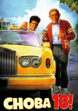 Опять 18! (1988)