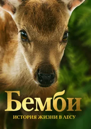 Бемби. История жизни в лесу (2024)