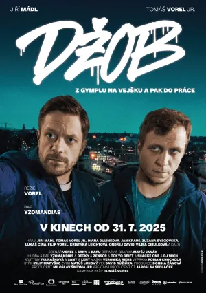 Последнее дело (2025)