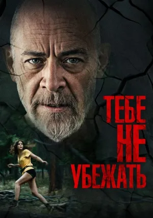 Ты не можешь бежать вечно (2024)