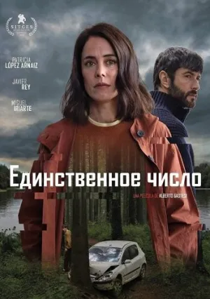 Единственное число (2025)