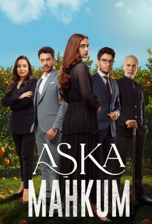Заключенный любви (сериал 2025)