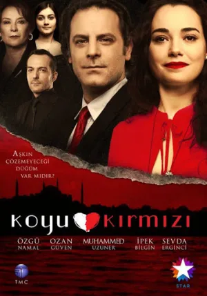 Темно-красный (сериал 2012)