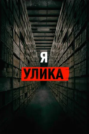 Я — улика (2017)