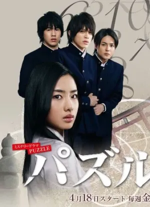 Головоломка (сериал 2008)
