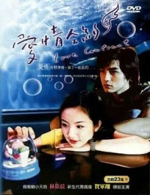 Любовный контракт (сериал 2004)