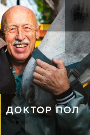 Доктор Пол (сериал 2011)