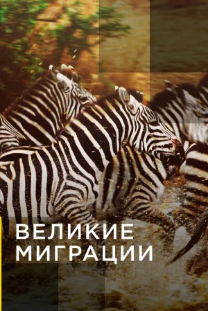 Великие миграции (сериал 2010)