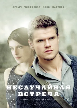 Неслучайная встреча (сериал 2014)