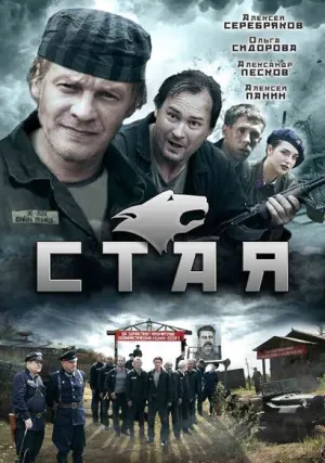 Стая (сериал 2009)