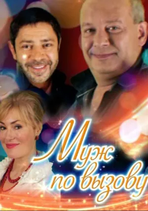 Муж по вызову (2015)