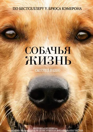 Собачья жизнь (2017)