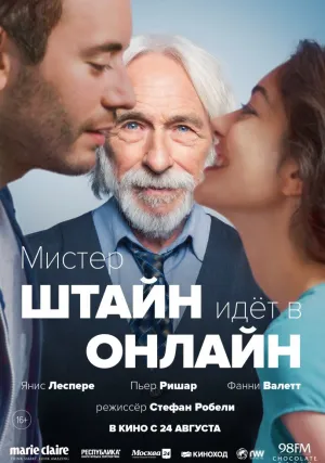 Мистер Штайн идёт в онлайн (2017)