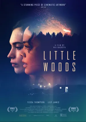 Лесок (2018)
