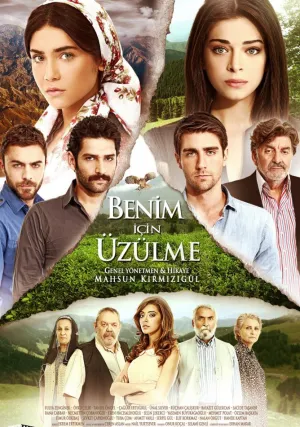 Не беспокойтесь за меня (сериал 2012)