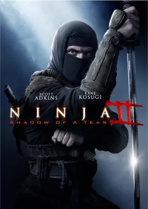 Ниндзя 2 (2013)