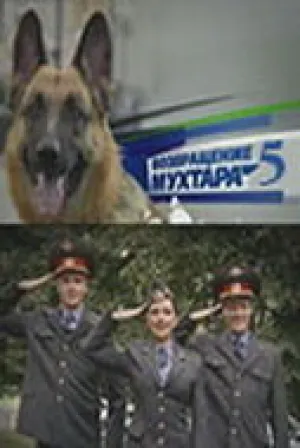 Возвращение Мухтара 5 (сериал 2009)