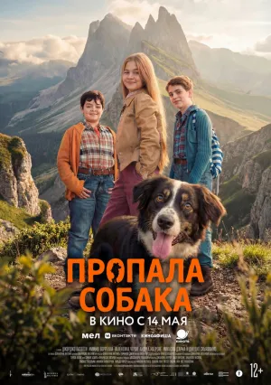 Пропала собака (2025)